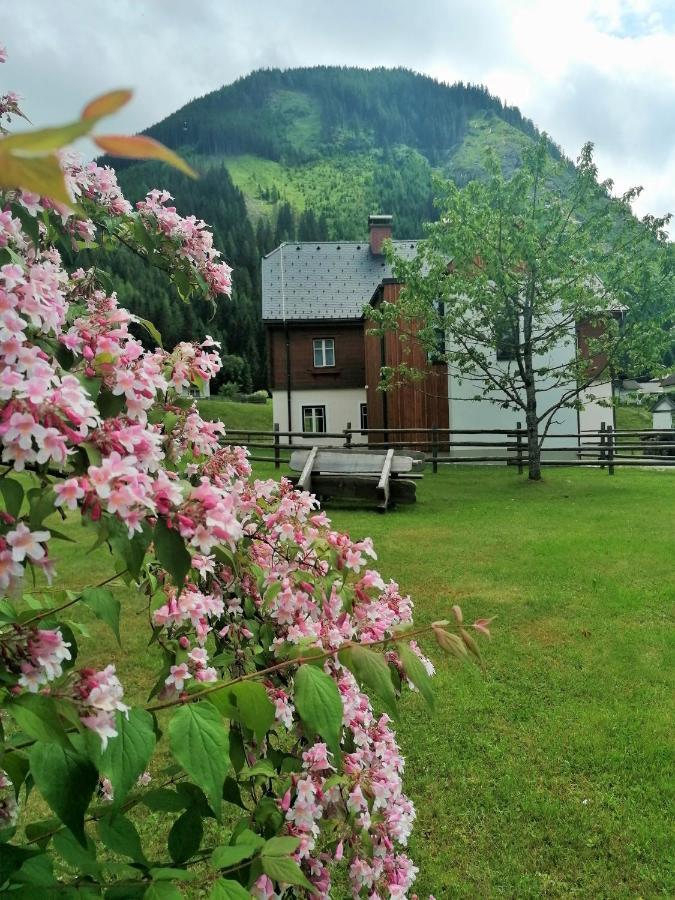 Himmlisch Urlauben St. Nikolai Daire Sankt Nikolai im Sölktal Dış mekan fotoğraf