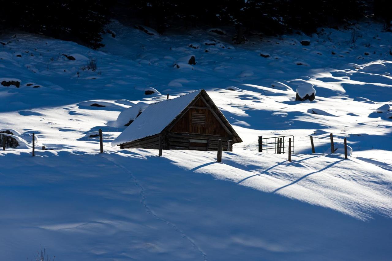 Himmlisch Urlauben St. Nikolai Daire Sankt Nikolai im Sölktal Dış mekan fotoğraf